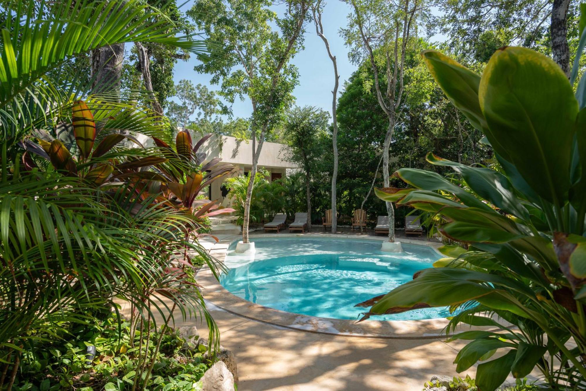 Suites At Treetops ตูลุม ภายนอก รูปภาพ